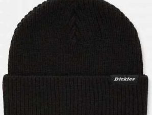 Σκούφος Dickies Woodworth beanie