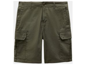 Shorts & Βερμούδες Dickies Millerville short