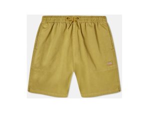 Shorts & Βερμούδες Dickies Pelican rapids