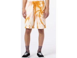 Shorts & Βερμούδες Dickies Seatac short