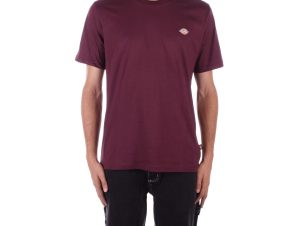 T-shirt με κοντά μανίκια Dickies DK0A4XDB